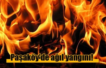 Paşaköy'de ağıl yangını!