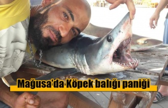Palm Beach Sahilinde köpek balığı paniği