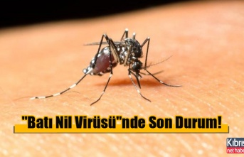 "Batı Nil Virüsü"nde Son Durum!