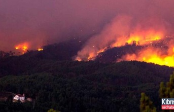 Portekiz'deki orman yangın
