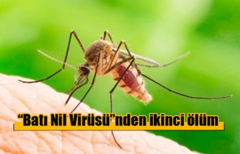 “Batı Nil Virüsü”nden ikinci ölüm
