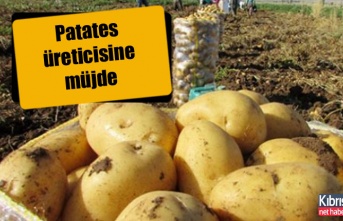 Patates üreticilerine 161 bin TL tazminat