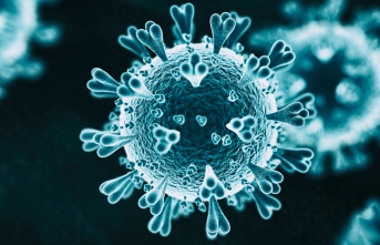 CDC corona virüse 4 yeni belirti ekledi