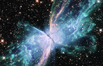 NASA'dan 'Kelebek Nebula' paylaşımı