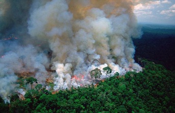 Brezilya'da yangınlar dünyanın en büyük sulak alanını tehdit ediyor