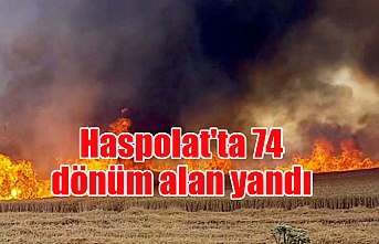 Haspolat'ta 74 dönüm alan yandı