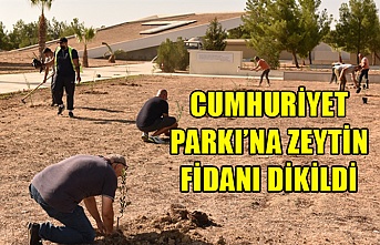 Cumhuriyet parkı’na zeytin fidanı dikildi