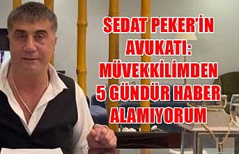 Sedat Peker’in avukatı: Müvekkilimden 5 gündür haber alamıyorum