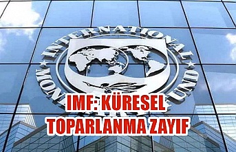 IMF: Küresel toparlanma Zayıf