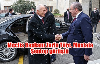 Meclis Başkanı Zorlu Töre, Mustafa Şentop görüştü