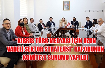 “Kıbrıs Türk Medyası için uzun vadeli sektor stratejisi” raporunun komiteye sunumu yapıldı