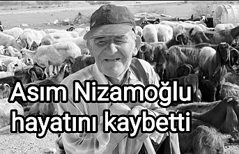 Asım Nizamoğlu hayatını kaybetti