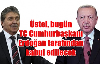 Başbakan Üstel, bugün TC Cumhurbaşkanı Erdoğan tarafından kabul edilecek