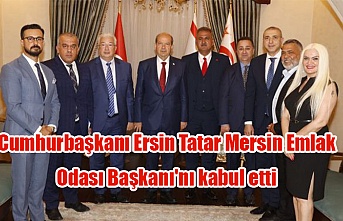 Cumhurbaşkanı Ersin Tatar Mersin Emlak Odası Başkanı'nı kabul etti