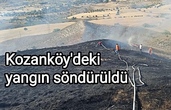 Kozanköy'deki yangın söndürüldü