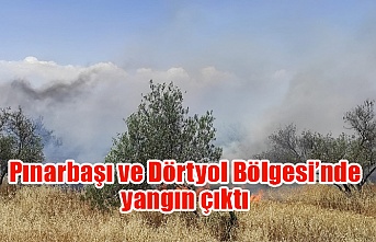 Pınarbaşı ve Dörtyol Bölgesi’nde yangın çıktı