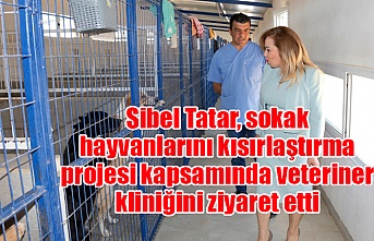 Sibel Tatar, sokak hayvanlarını kısırlaştırma projesi kapsamında veteriner kliniğini ziyaret etti