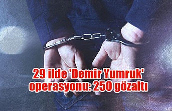 29 ilde 'Demir Yumruk' operasyonu: 250 gözaltı