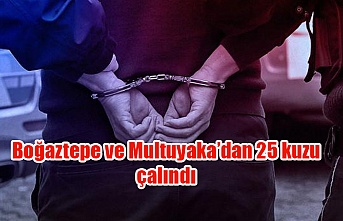 Adana'da terör operasyonu: 38 gözaltı kararı