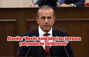 Ataoğlu: "Meclis komiteleri yaz boyunca çalışmalarını sürdürecek"