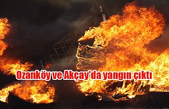 Ozanköy ve Akçay'da yangın çıktı