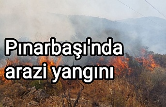 Pınarbaşı'nda arazi yangını