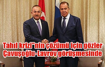 Tahıl krizi"nin çözümü için gözler Çavuşoğlu-Lavrov görüşmesinde