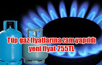 Tüp gaz fiyatlarına zam yapıldı; yeni fiyat 255TL