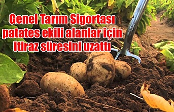 Genel Tarım Sigortası patates ekili alanlar için itiraz süresini uzattı