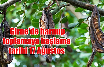 Girne'de harnup toplamaya başlama tarihi 17 Ağustos