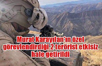 Murat Karayılan'ın özel görevlendirdiği 2 terörist etkisiz hale getirildi