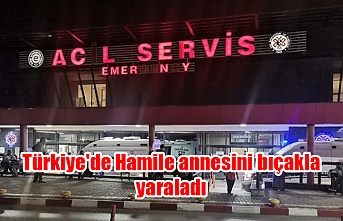 Türkiye'de Hamile annesini bıçakla yaraladı