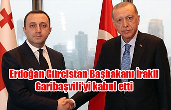 Erdoğan Gürcistan Başbakanı İrakli Garibaşvili'yi kabul etti