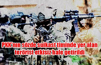PKK'nın sözde suikast timinde yer alan terörist etkisiz hale getirildi