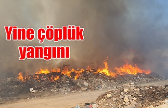 Çatalköy ve Esentepe Belediyelerine ait çöplük alanda yangın çıktı
