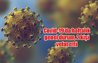 Covid-19’da haftalık genel durum, 2 kişi vefat etti