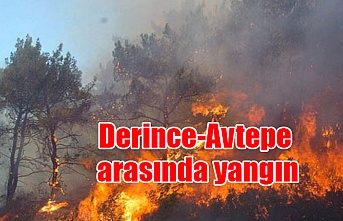 Derince-Avtepe arasında yangın