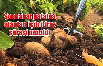 Sonbahar patates alanları için itiraz süresi uzatıldı