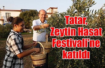 Tatar, Zeytin Hasat Festivali’ne katıldı