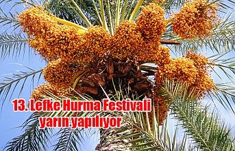 13. Lefke Hurma Festivali yarın yapılıyor