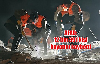 AFAD: 12 bin 391 kişi hayatını kaybetti