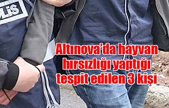 Altınova’da hayvan hırsızlığı yaptığı tespit edilen 3 kişi tutuklandı