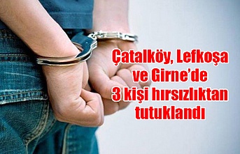 Çatalköy, Lefkoşa ve Girne’de 3 kişi hırsızlıktan tutuklandı