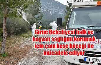 Girne Belediyesi halk ve hayvan sağlığını korumak için çam kese böceği ile mücadele ediyor