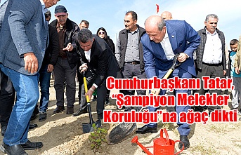 Cumhurbaşkanı Tatar, “Şampiyon Melekler Koruluğu”na ağaç dikti