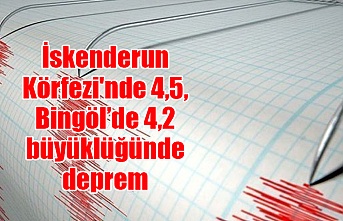 İskenderun Körfezi'nde 4,5, Bingöl’de 4,2 büyüklüğünde deprem