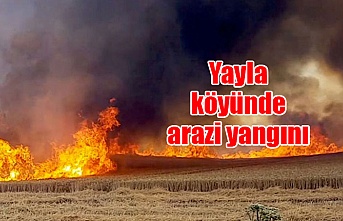 Yayla köyünde arazi yangını