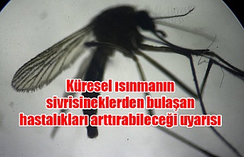 Küresel ısınmanın sivrisineklerden bulaşan hastalıkları arttırabileceği uyarısı