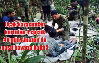 Uçak kazasından kurtulan 4 çocuk 40 gün Amazon'da nasıl hayatta kaldı?