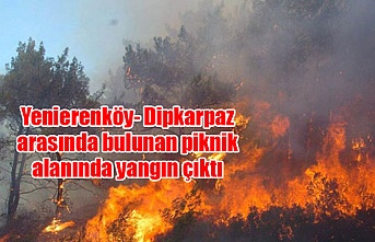 Yenierenköy- Dipkarpaz arasında bulunan piknik alanında yangın çıktı
